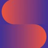 Icon Identity Solutions